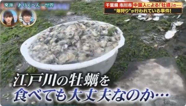190602004.jpg